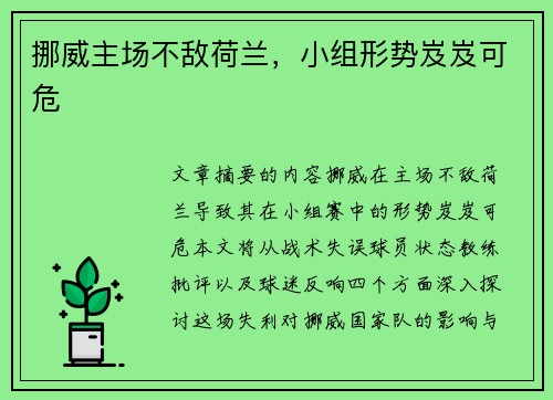 挪威主场不敌荷兰，小组形势岌岌可危