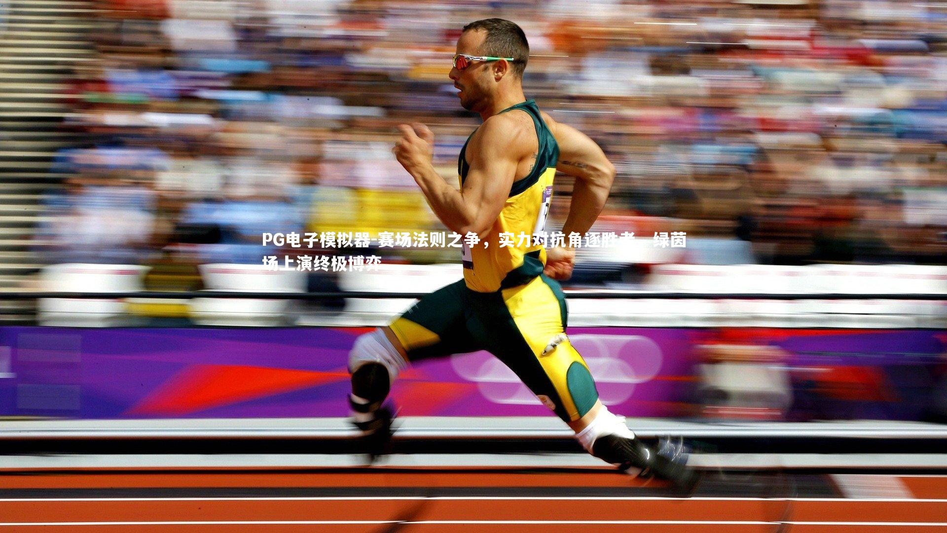 赛场法则之争，实力对抗角逐胜者，绿茵场上演终极博弈